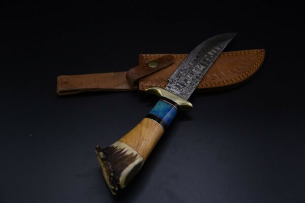 Custom Damascus Steel Splendid Bowie Knife with Crown Stag Olive Wood Colored Bone BK 23 2
