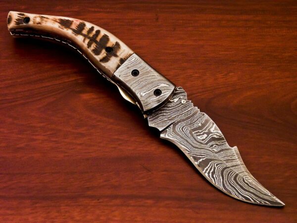 Custom Hand Made Damascus Steel Hunting Pocket Knife With Stag Horn Handle Fk 38 3