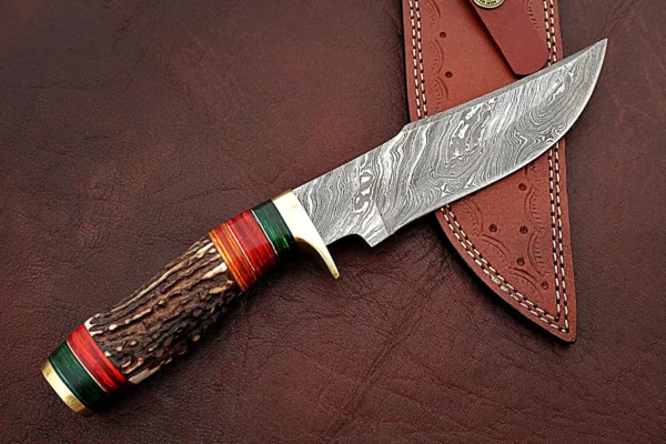 Custom Handmade Damascus Steel Amazing Bowie Knife with Beautiful Stag Horn Colored Wood Handle BK 12 1