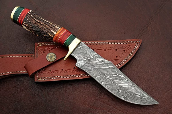 Custom Handmade Damascus Steel Amazing Bowie Knife with Beautiful Stag Horn Colored Wood Handle BK 12 3