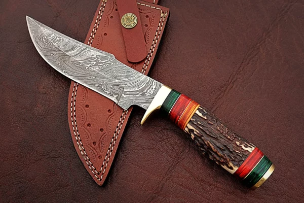 Custom Handmade Damascus Steel Amazing Bowie Knife with Beautiful Stag Horn Colored Wood Handle BK 12 4