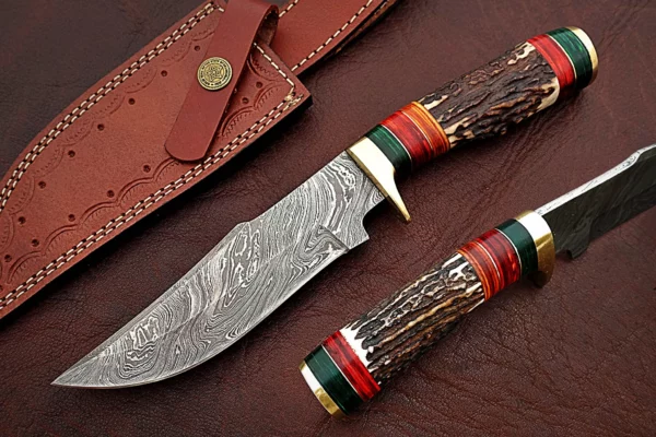 Custom Handmade Damascus Steel Amazing Bowie Knife with Beautiful Stag Horn Colored Wood Handle BK 12 6