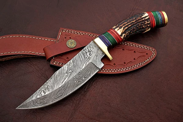Custom Handmade Damascus Steel Amazing Bowie Knife with Beautiful Stag Horn Colored Wood Handle BK 13 2