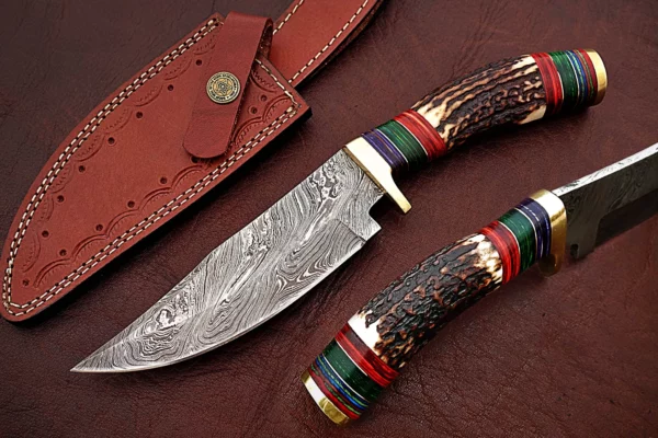 Custom Handmade Damascus Steel Amazing Bowie Knife with Beautiful Stag Horn Colored Wood Handle BK 13 5