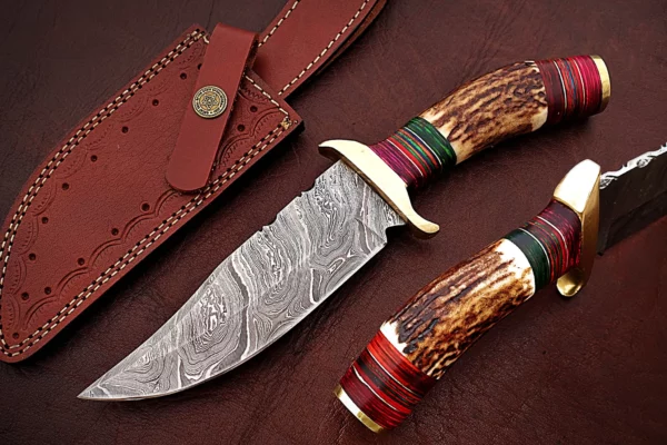 Custom Handmade Damascus Steel Amazing Bowie Knife with Beautiful Stag Horn Colored Wood Handle BK 9 5