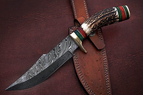 Custom Handmade Damascus Steel Amazing Bowie Knife with Beautiful Stag Horn Handle BK 15 2