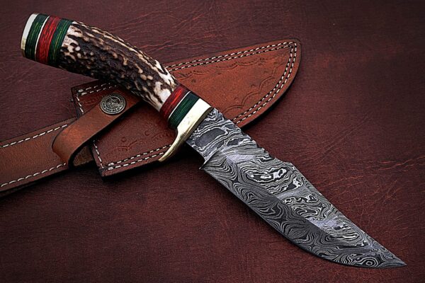 Custom Handmade Damascus Steel Amazing Bowie Knife with Beautiful Stag Horn Handle BK 15 4 3