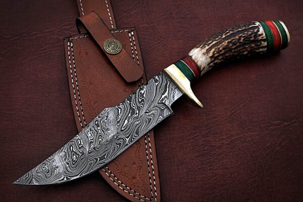 Custom Handmade Damascus Steel Amazing Bowie Knife with Beautiful Stag Horn Handle BK 15 8 1