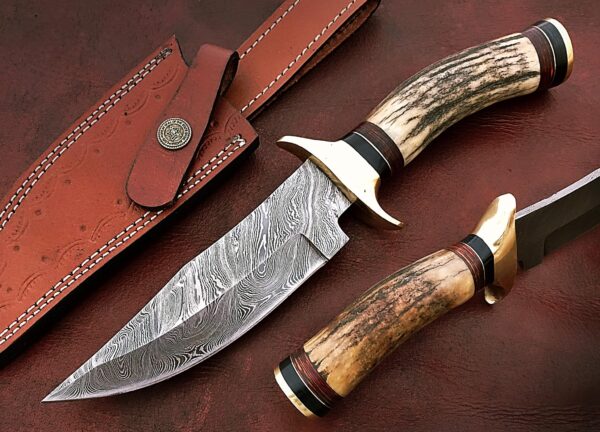 Custom Handmade Damascus Steel Beautiful Bowie Knife with Stunning Stag Horn Handle BK 8 1