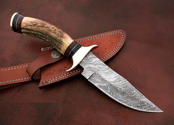 Custom Handmade Damascus Steel Beautiful Bowie Knife with Stunning Stag Horn Handle BK 8 6