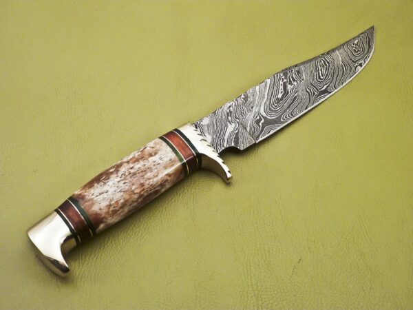 Custom Handmade Damascus Steel Hunting Knife with Colored Bone Handle HK 14 4
