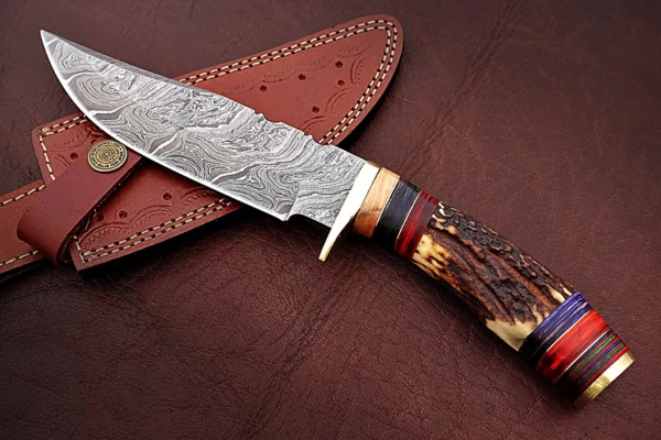 Custom Handmade Damascus Steel Stunning Bowie Knife with Beautiful Stag Horn Colored Wood Handle BK 10 3