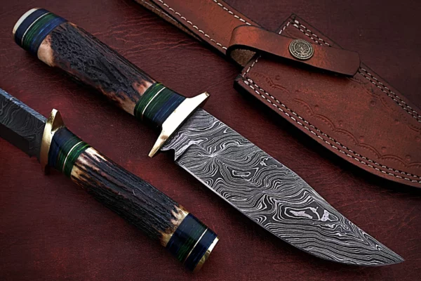Custom Handmade Damascus Steel Stunning Bowie Knife with Beautiful Stag Horn Handle BK 14 1
