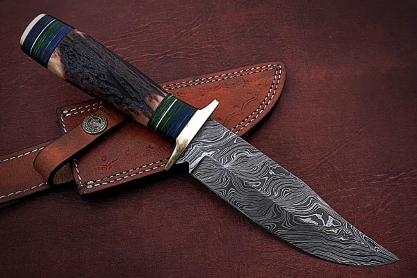 Custom Handmade Damascus Steel Stunning Bowie Knife with Beautiful Stag Horn Handle BK 14 4