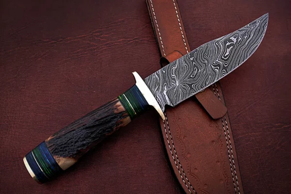 Custom Handmade Damascus Steel Stunning Bowie Knife with Beautiful Stag Horn Handle BK 14 5