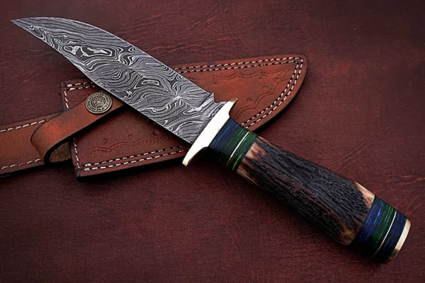 Custom Handmade Damascus Steel Stunning Bowie Knife with Beautiful Stag Horn Handle BK 14 6
