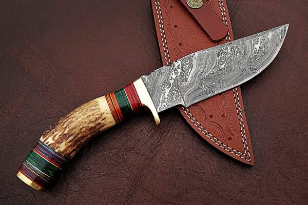 Custom Handmade Damascus Steel Stunning Bowie Knife with Beautiful Stag Horn and Colored Wood Handle BK 11 1