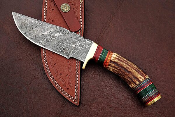 Custom Handmade Damascus Steel Stunning Bowie Knife with Beautiful Stag Horn and Colored Wood Handle BK 11 3