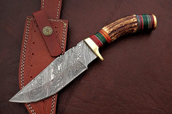 Custom Handmade Damascus Steel Stunning Bowie Knife with Beautiful Stag Horn and Colored Wood Handle BK 11 4