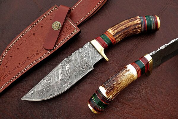 Custom Handmade Damascus Steel Stunning Bowie Knife with Beautiful Stag Horn and Colored Wood Handle BK 11 6
