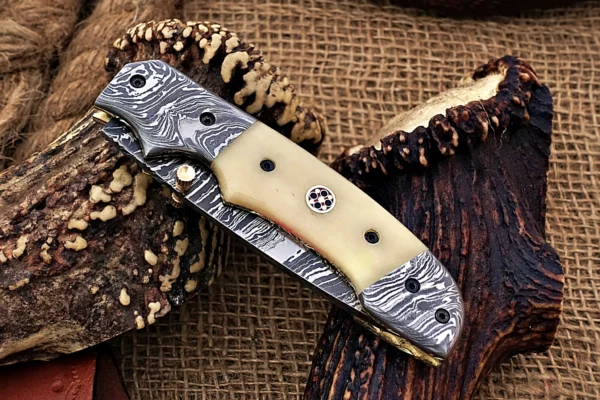 Custom Handmade Damascus Steel Stunning Folding Knife with Beautiful Camel Bone Handle Fk 80 9
