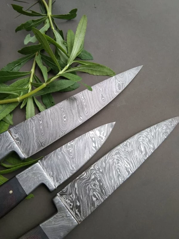 Set of 3 Custom Handmade Damascus Steel Kitchen Knifes with Micarta Handle CK 8 2